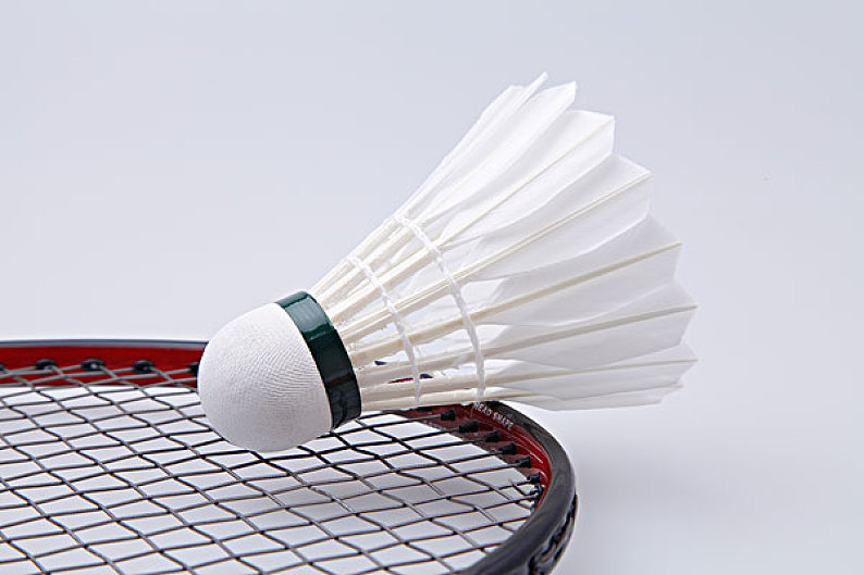 巴西足球的 巴西足球的